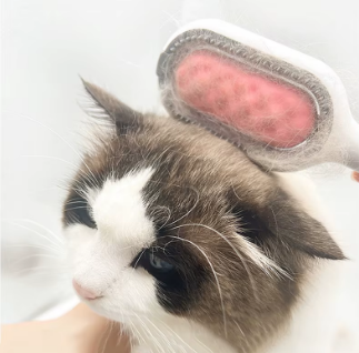 CEPILLO ELIMINA PELUSAS Y PEINA MASCOTAS